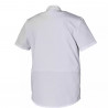 Veste Cuisine chef Macaron manche courte | Shoptablouse