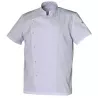 Veste Cuisine Homme GABIN MC Polycoton | Shoptablouse