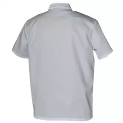 Tunique médicale Homme WOODY MC TENCEL™ Col Officier | Shoptablouse